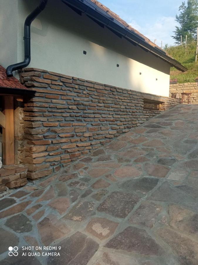 Zavojsko Jezero - Vila Jezero بايرت المظهر الخارجي الصورة